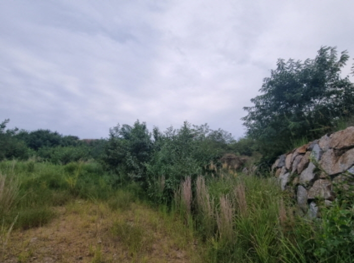 물건 사진 13