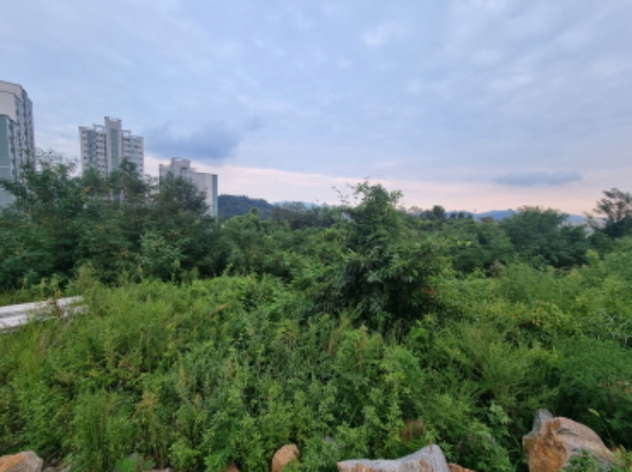물건 사진 18