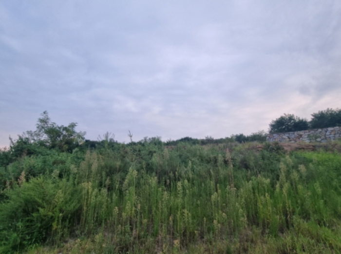 물건 사진 40