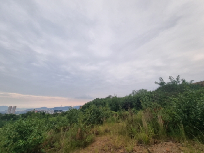 물건 사진 42