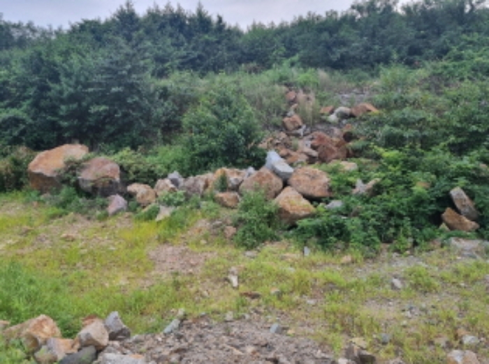 물건 사진 19