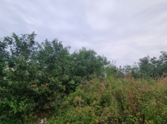 물건 사진 23