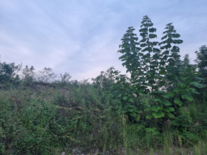 물건 사진 25