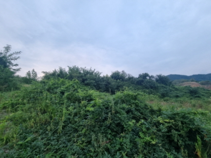 물건 사진 28