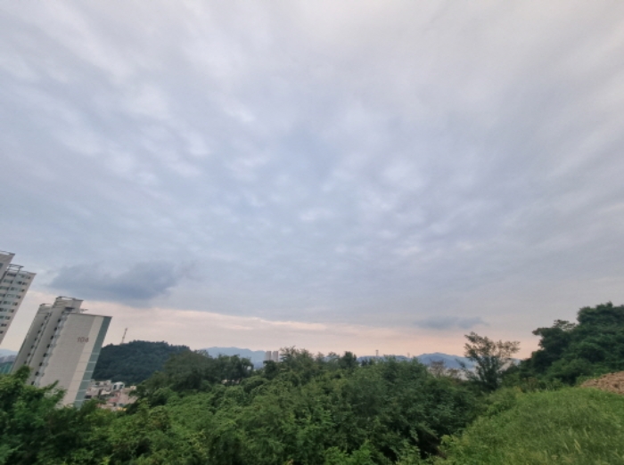 물건 사진 36