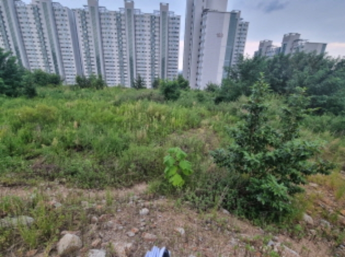 물건 사진 45
