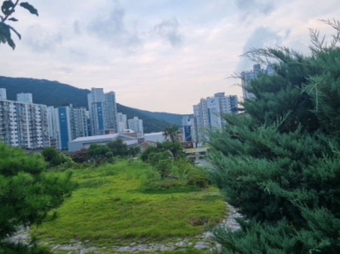 물건 사진 10