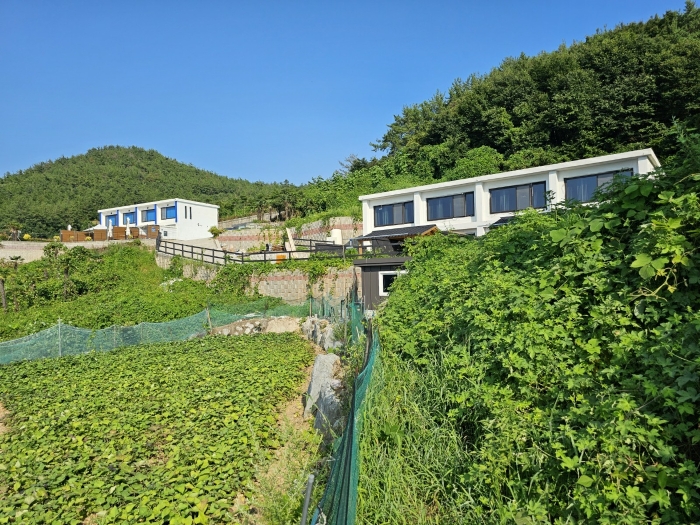 물건 사진 38
