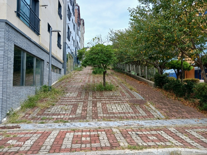 물건 사진 30