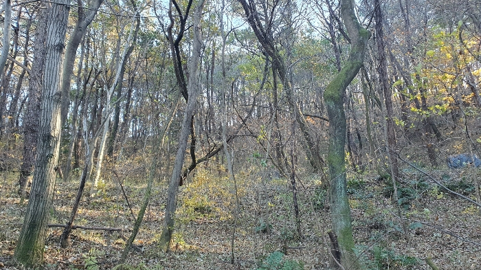 물건 사진 33