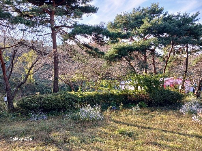 물건 사진 130