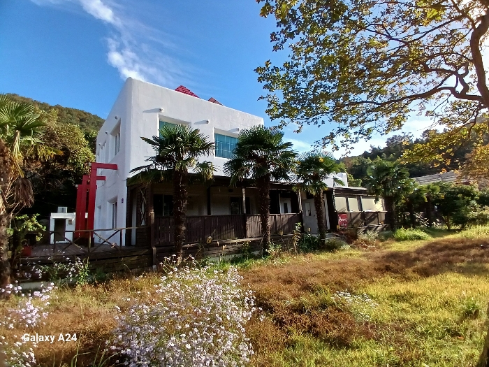 물건 사진 153