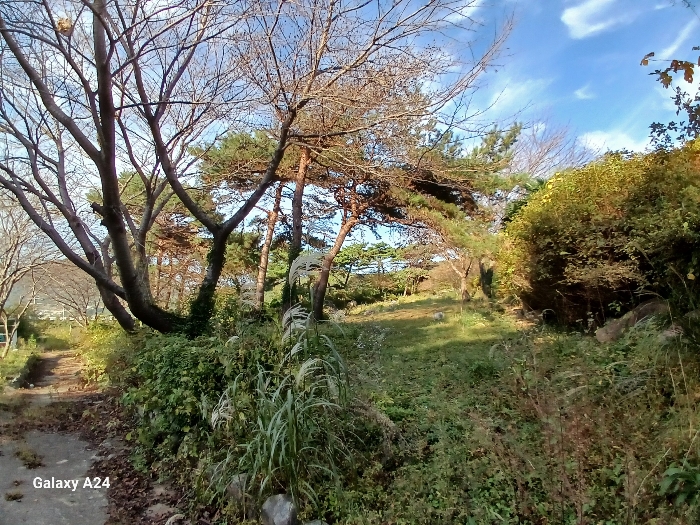 물건 사진 165