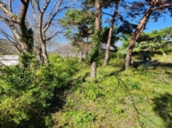 물건 사진 41