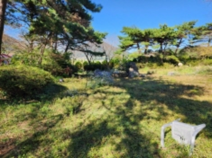 물건 사진 42