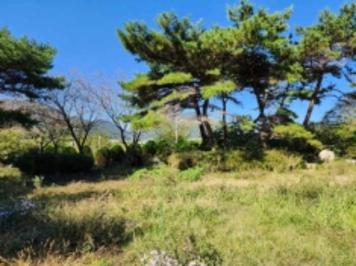 물건 사진 50