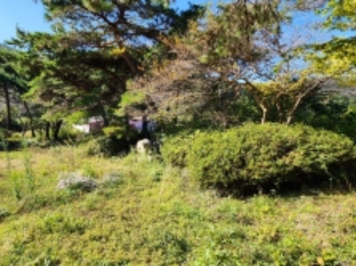 물건 사진 52