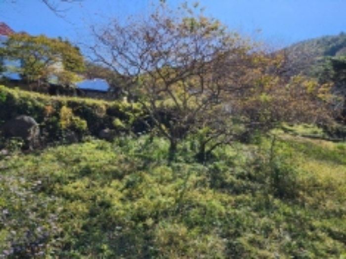 물건 사진 54