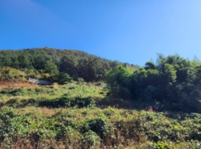 물건 사진 93