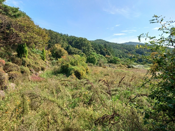 물건 사진 12