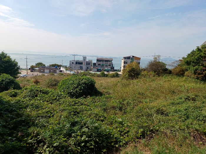 물건 사진 17