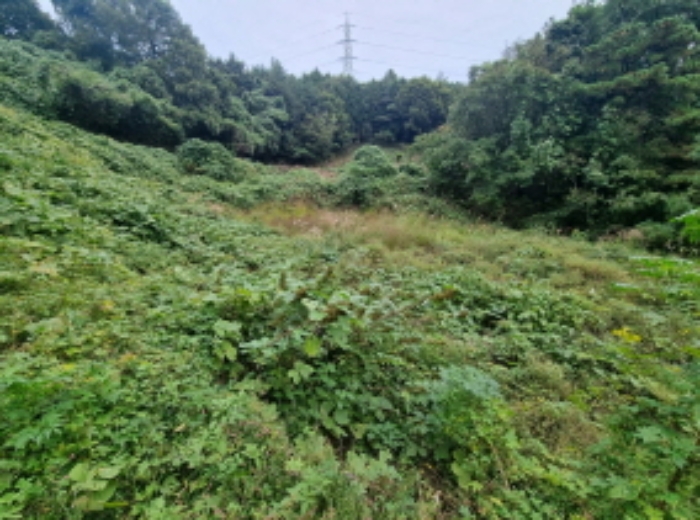 물건 사진 8