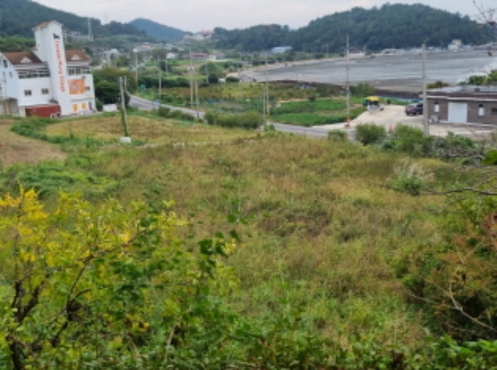 물건 사진 9
