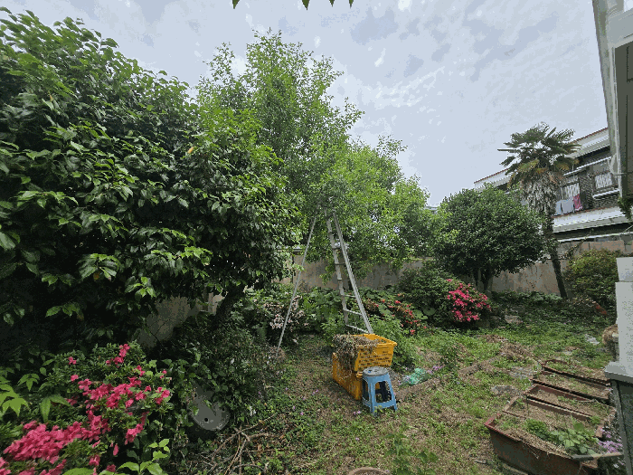 물건 사진 34