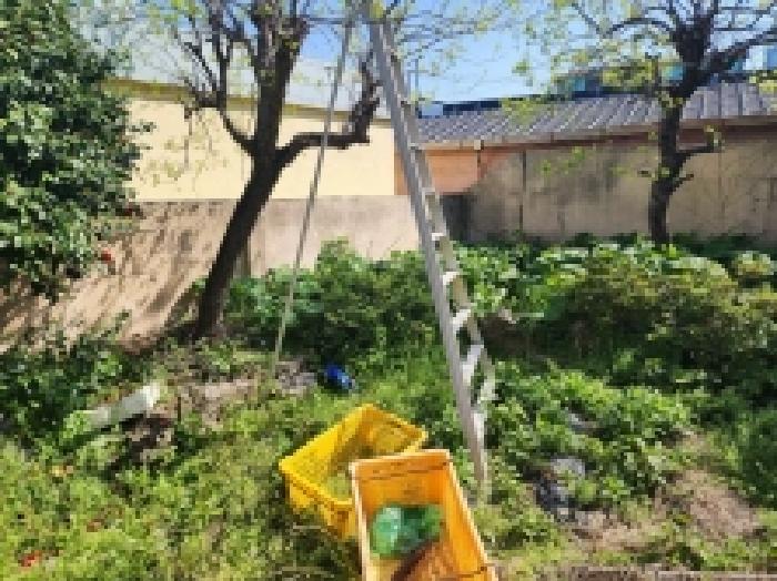 물건 사진 5