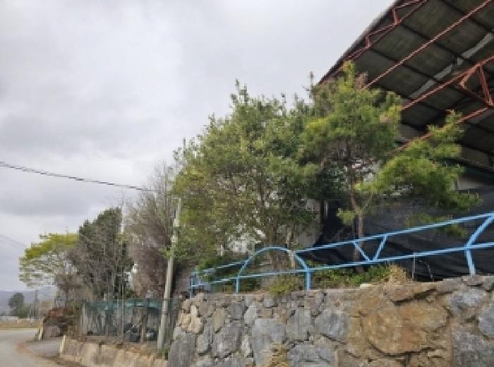 물건 사진 35