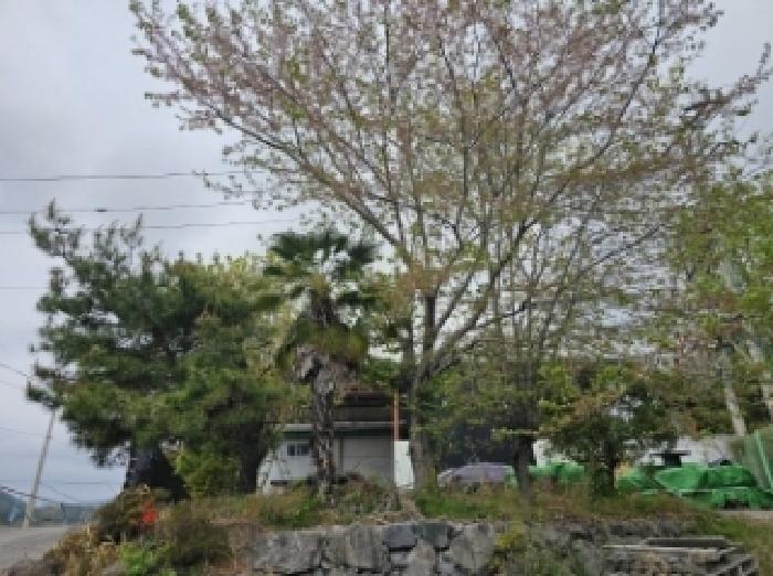 물건 사진 37