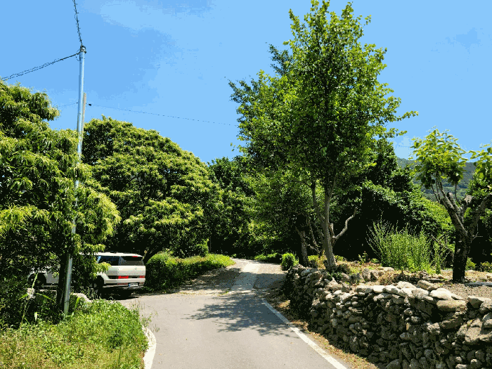 물건 사진 28