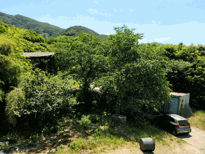 물건 사진 30