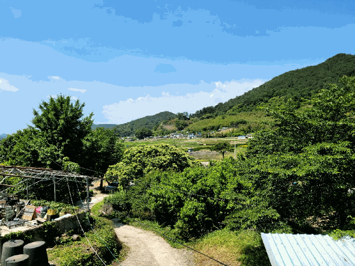 물건 사진 31
