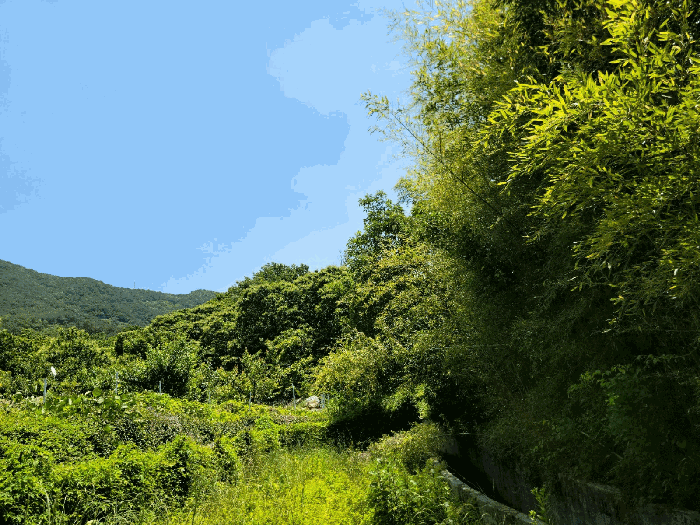 물건 사진 49