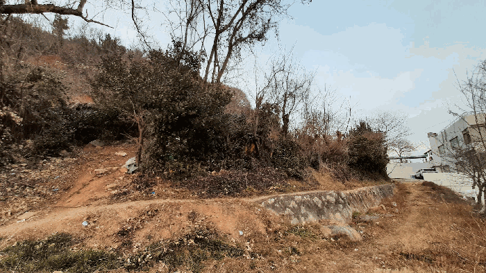 물건 사진 15