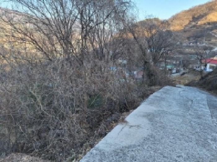 물건 사진 16