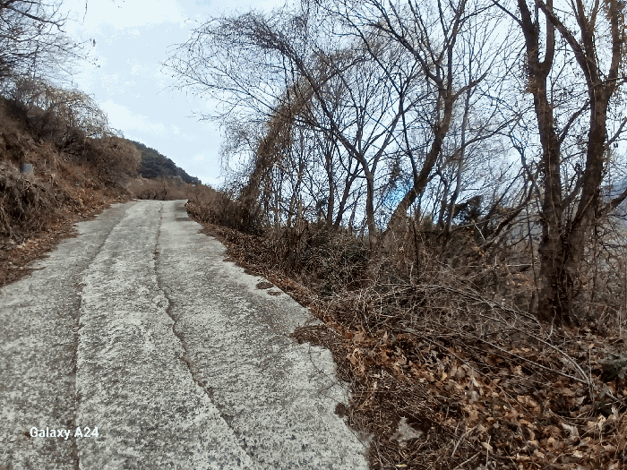 물건 사진 21