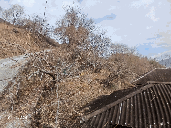 물건 사진 23