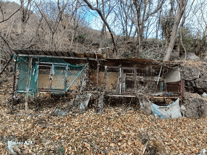 물건 사진 28