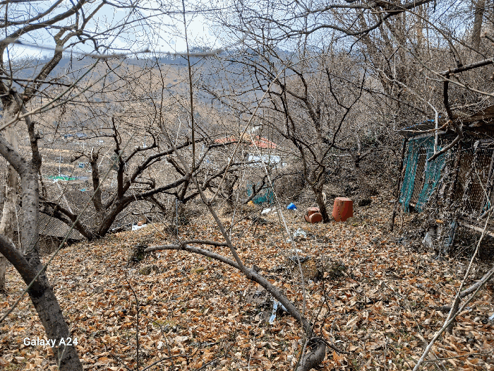 물건 사진 29