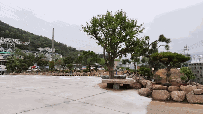 물건 사진 57