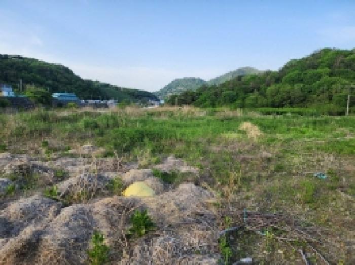 물건 사진 12