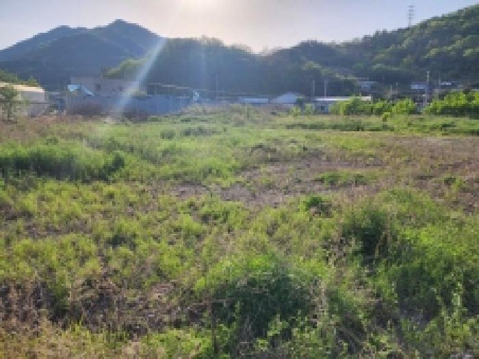 물건 사진 24