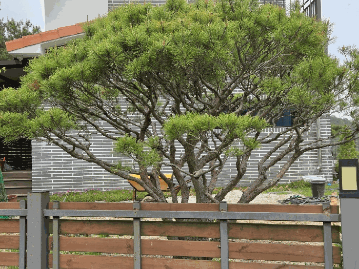 물건 사진 48