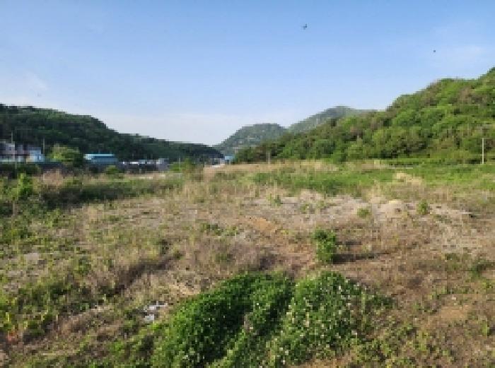 물건 사진 9