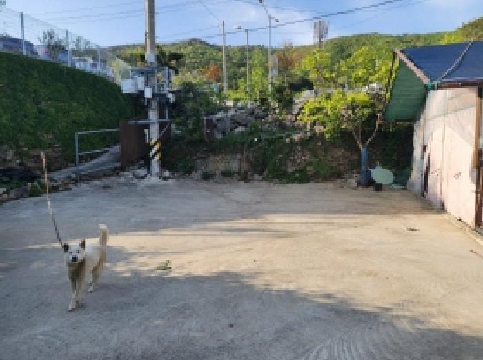 물건 사진 24