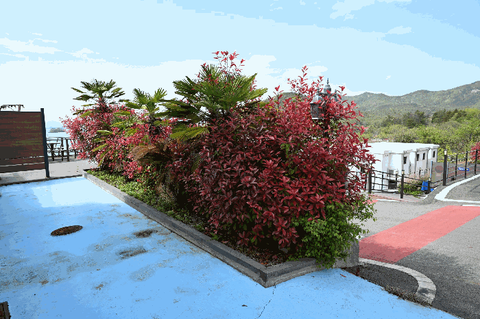 물건 사진 18