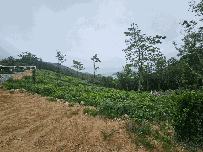 물건 사진 38
