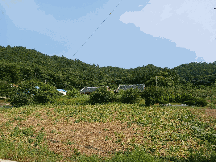 물건 사진 36